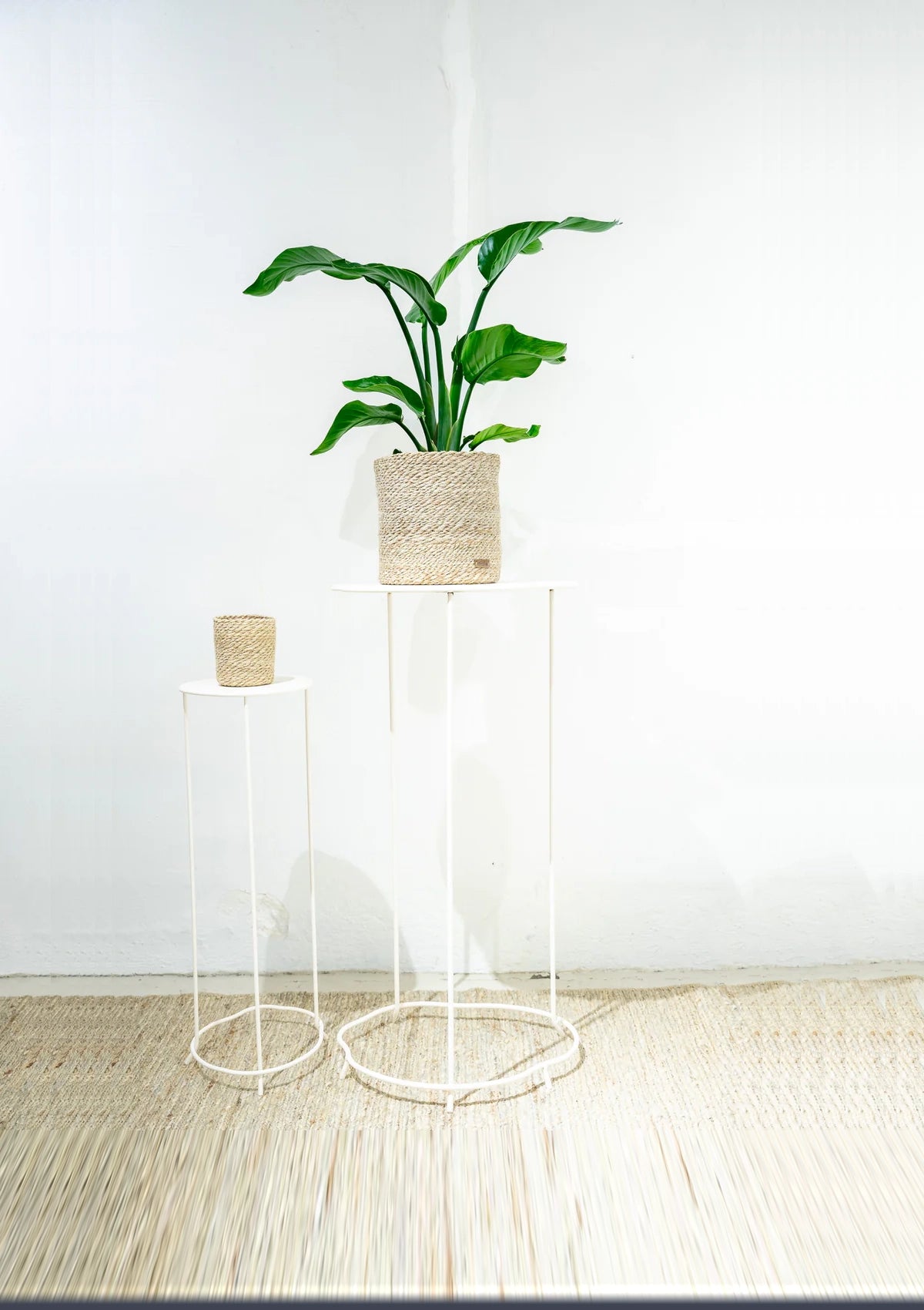 Shabby Planter